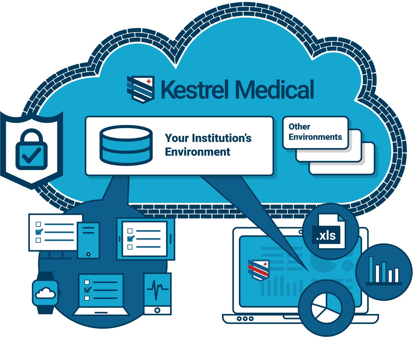 Kestrel Medical Chart